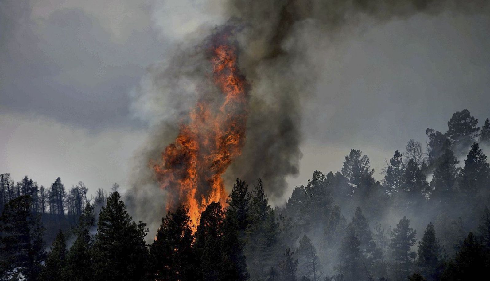 Dark grey image with trees that look black and with a big flames and smoke emerging