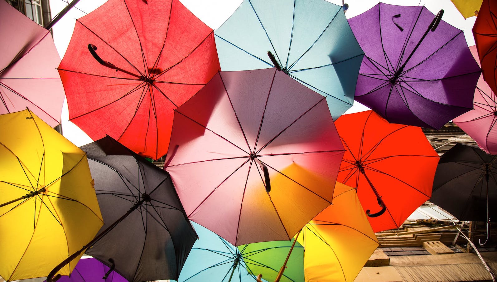 Multi-colored umbrellas from a low angle