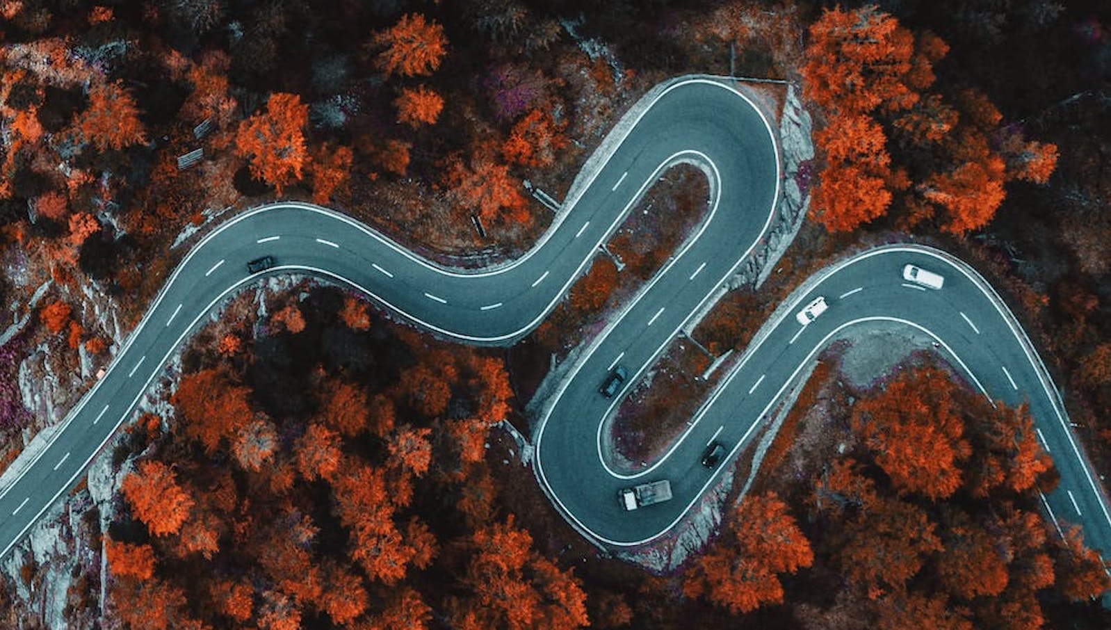 Overhead view of a winding country road with cars on it among tall red trees