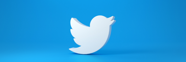 the twitter logo in a blue background with a light gradient 
