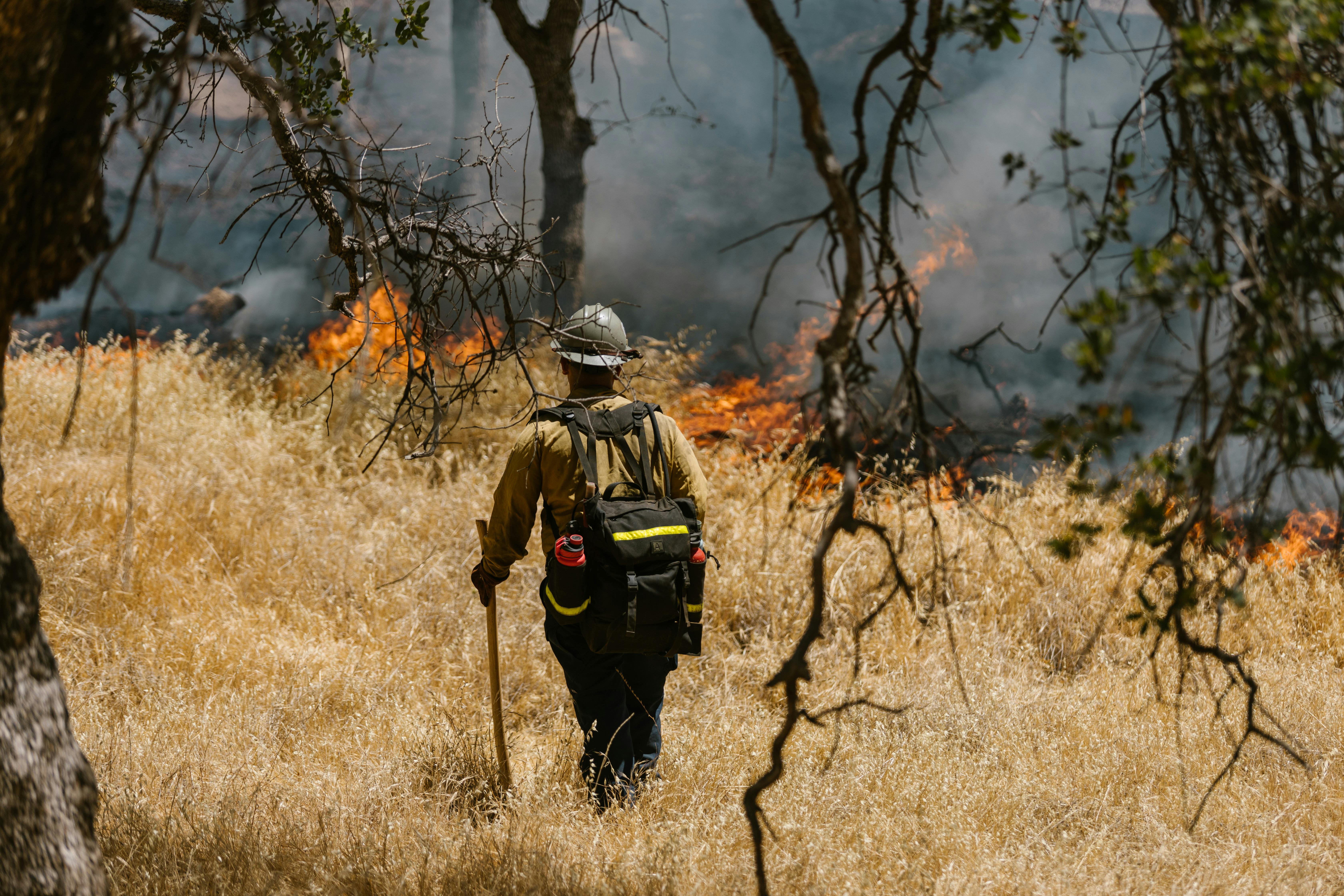 firefighter and wildfire