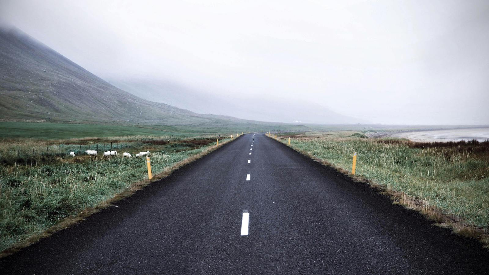 Black Asphalt Road Surrounded by Green Grass