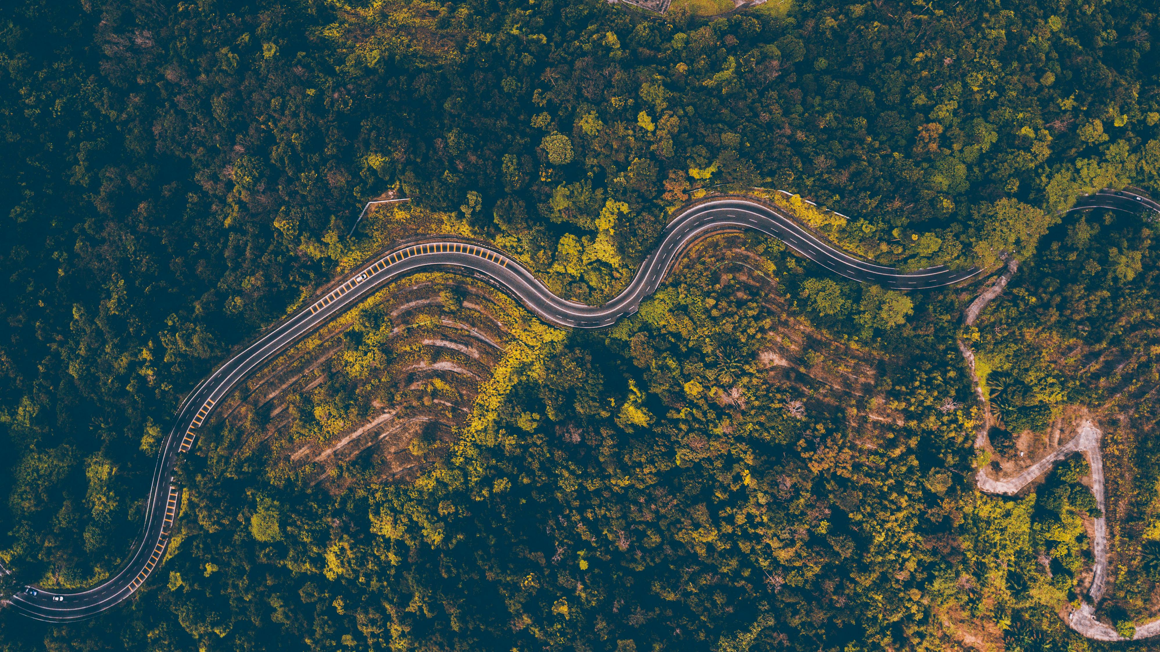 Aerial Photography of Road Through Forest