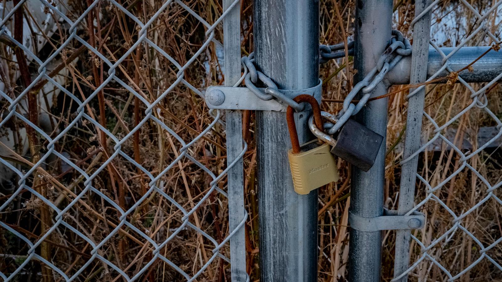 Padlocks on Chain Link Fence