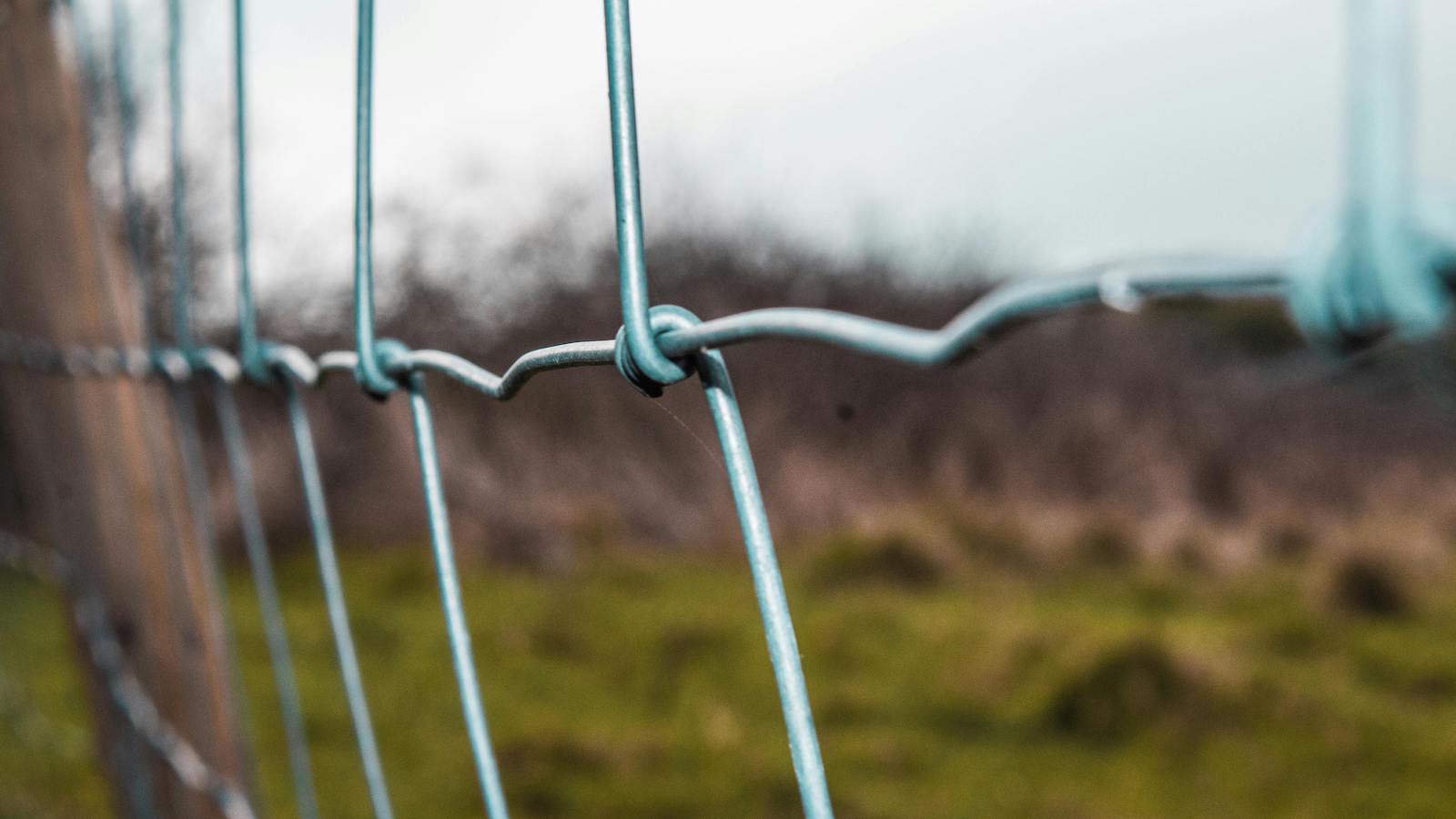 Selective Focus Photography of Gray Chain Link Fence