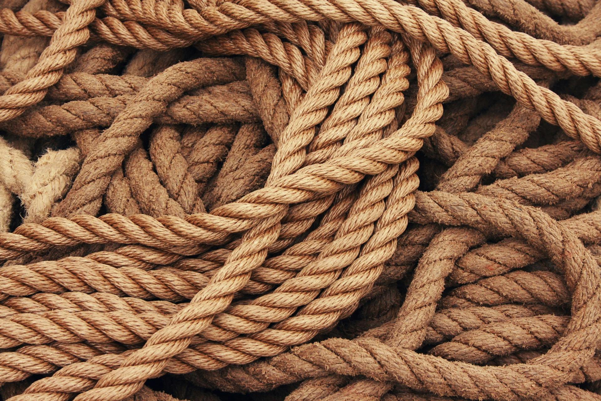 tangled brown ropes