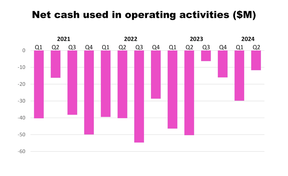 Net cash used in operating activities