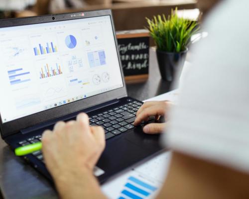 Person looking at graphs on a computer