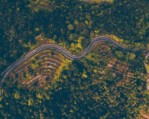 Aerial Photography of Road Through Forest