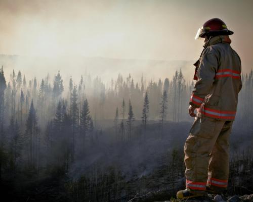 Fireman in Uniform Looking at Forest after Fire